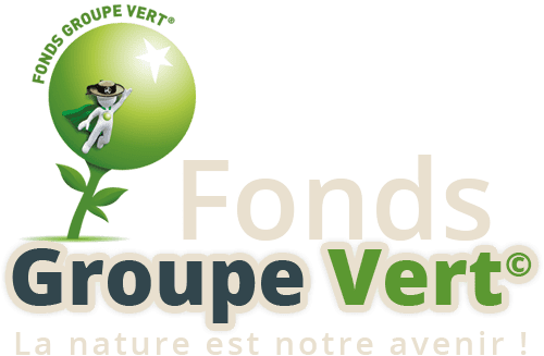 Fonds Groupe Vert